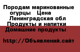 Породам маринованные огурцы › Цена ­ 400 - Ленинградская обл. Продукты и напитки » Домашние продукты   